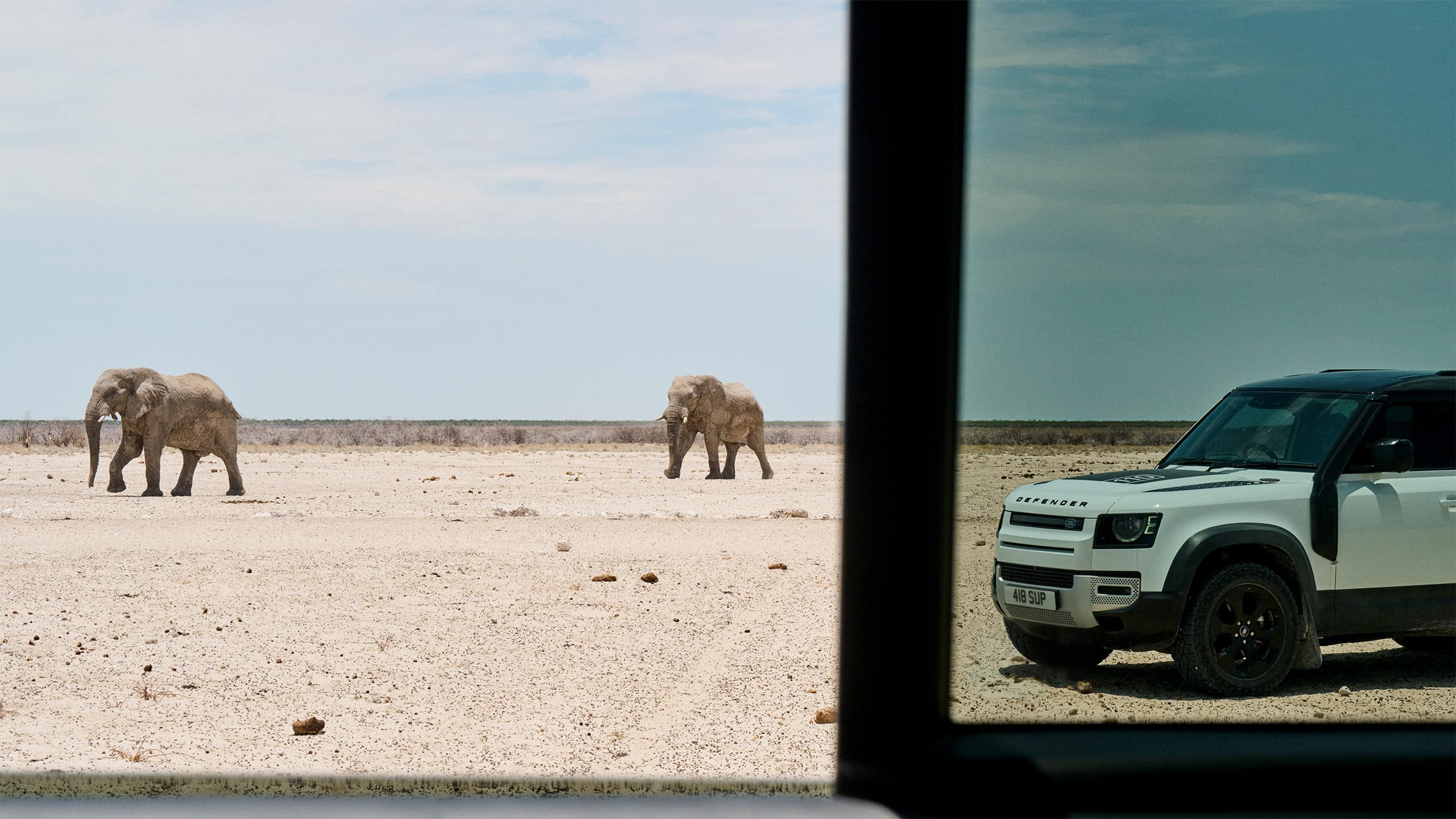 Two Elephants and Defender Car