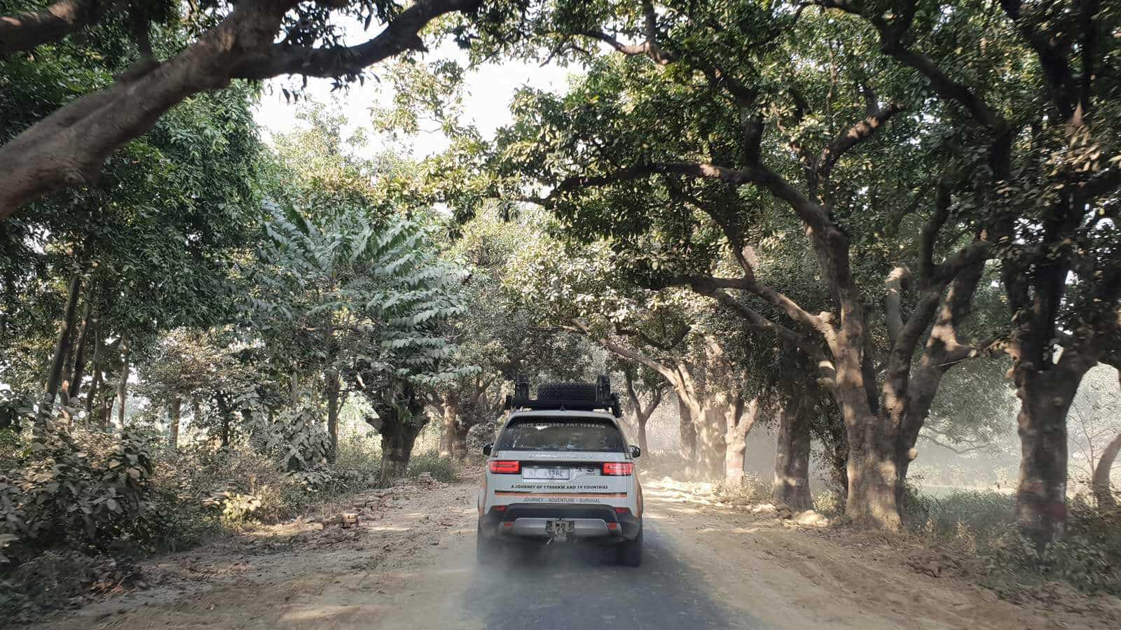 Driving down wooded road