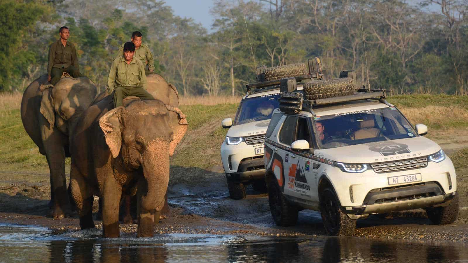 Range Rover and elephant